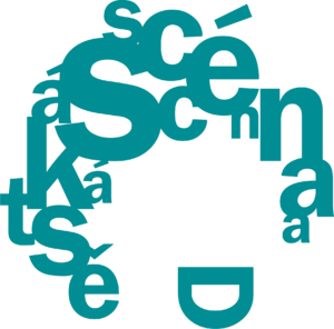 logo DS
